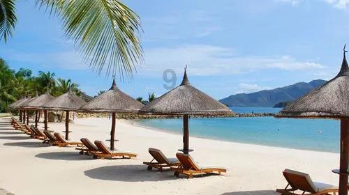 牛油果面包