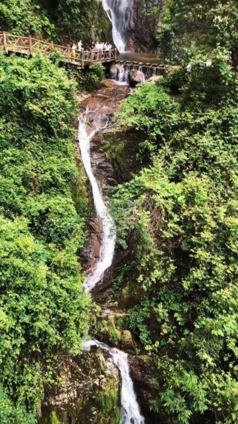 苹果2023财年在三星老家大赚 营业利润同比大增550%